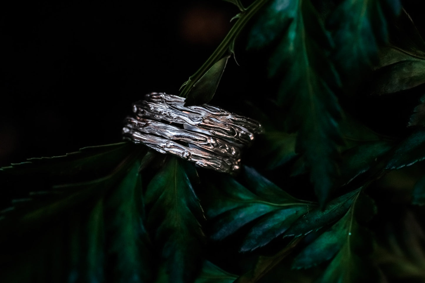 Shoreline Ring