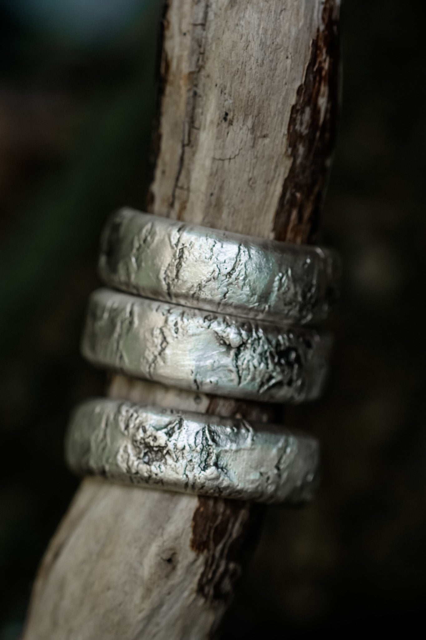 Birch Bark Rings